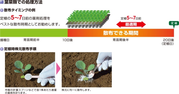 プリロッソ粒剤 10kg 畑地殺虫剤 農家のお店おてんとさん