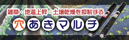 農薬・農業資材の通販サイト農家のお店おてんとさんオンラインショップ